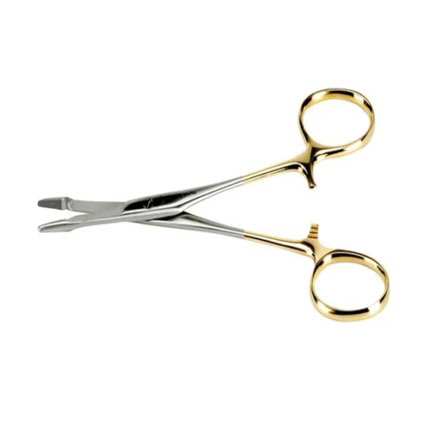 PORTEGÜ SARI TUNGSTEN